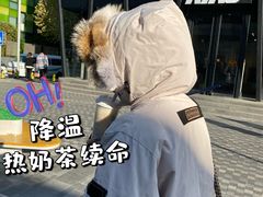 -喜茶(北京三里屯太古里店)