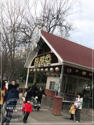 -酷酷兔少儿拓展天地