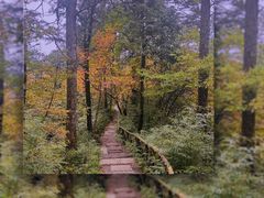 -龙苍沟森林公园
