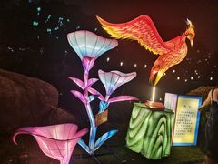 -白马涧龙池景区