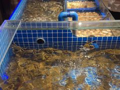 -锅儿欢海鲜火锅烤肉自助餐(东港凯虹店)