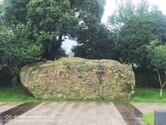 -长兴太湖图影湿地文化园