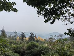 -凤栖山