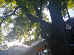 -香山公园-东宫门售票处