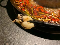 -渝涯重庆豆花老火锅(中赢国际店)