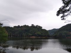 -广州市石门国家森林公园