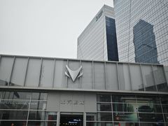 -北汽鹏龙ARCFOX极狐(国贸店)