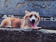 -四门塔风景区