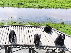 -农垦当壁镇兴凯湖旅游度假区