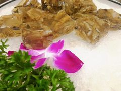 -鑫悦楼煎蟹·16年海鲜大排档