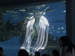 -海合安武汉极地海洋公园