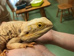 -藦茜花园宠物主题亲子互动体验馆(国顺东路店)