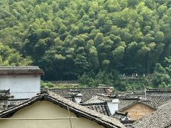 -大奇山国家森林公园