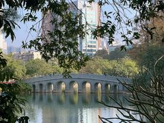 -四海公园(南山区)