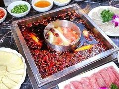 清油鸳鸯锅-红鼎坊·老成都火锅(新南门店)