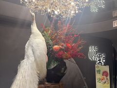 -滇野云南野生菌餐厅(陕西南路店)