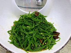 凉拌沙葱-塞伊德·蒙餐(锡林浩特店)