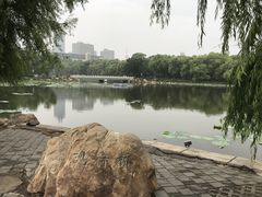 -长春市南湖公园