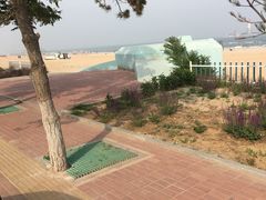 -南戴河旅游度假区