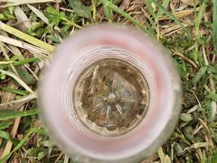 -门城湖公园