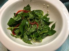 开胃荆芥-渔公馆·川菜馆·家宴·生日宴(大地中央广场店)