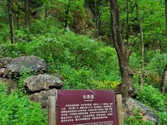 -大连天门山国家森林公园