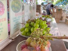 -马陆小张葡萄园农家乐