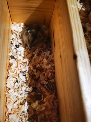 点击看大图 -酷嗒动物文化乐园(cutezoo西溪乐天城店)