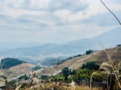 -紫鹊界梯田景区