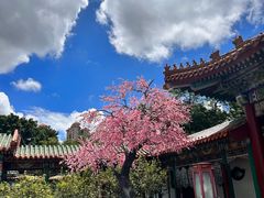 -珠海圆明新园