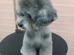 -FAELING PETS美天灵宠物(合生汇店)