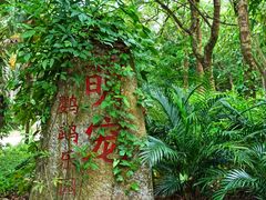 -广东茂名森林公园