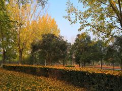 -长安大学(北校区)