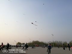 -丁香湖公园