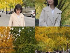 -三里屯东五街银杏大道