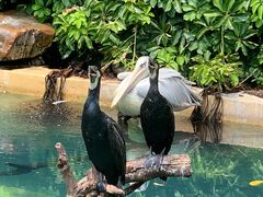 -珠海长隆海洋王国
