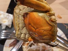 -星伦多自助料理(爱琴海店)
