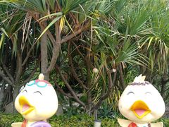 -厦门日月谷温泉渡假村