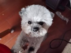 -爱侣宠医·鹦鹉专科·小型哺乳类·异宠专科(灵石路店)