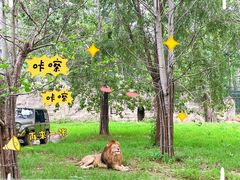 -秦皇岛野生动物园
