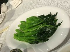 -大梅沙游艇度假酒店