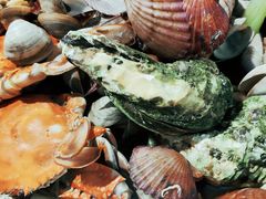 -晓伟海鲜家常菜