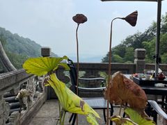 韬光茶庵-韬光茶庵