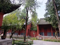 -洛阳白马寺