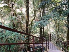 -龙岩森林水乡景区
