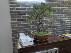 -雅享养生·中医调理·筋骨艾灸(广兰路店)