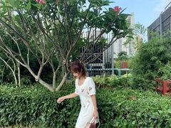 -石厦(地铁站)