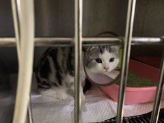 -安安宠医·安宠宠物医院