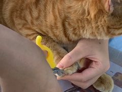 -荔康动物医院(康王北路店)