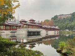 -重庆彩云湖湿地公园